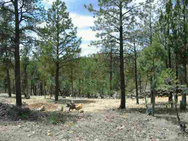 3372 Hilltop Road, Unit 93 Heber, AZ 85928 - Photo 1 of 6 Primary Photo