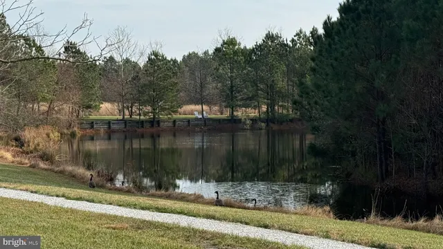 a view of a lake view