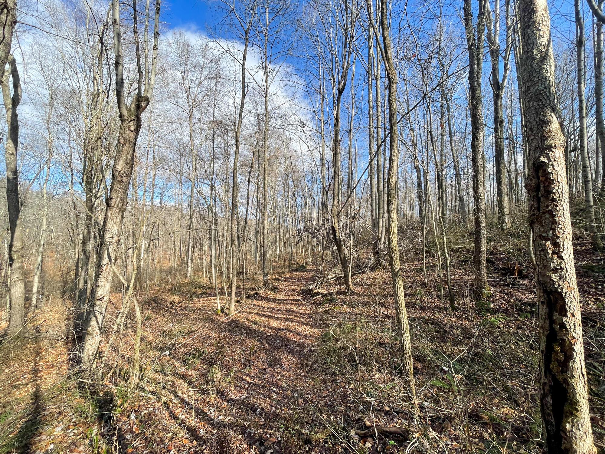 0 Murphy Remy Road McArthur, OH 45651 - Photo 24 of 34 IMG_5499