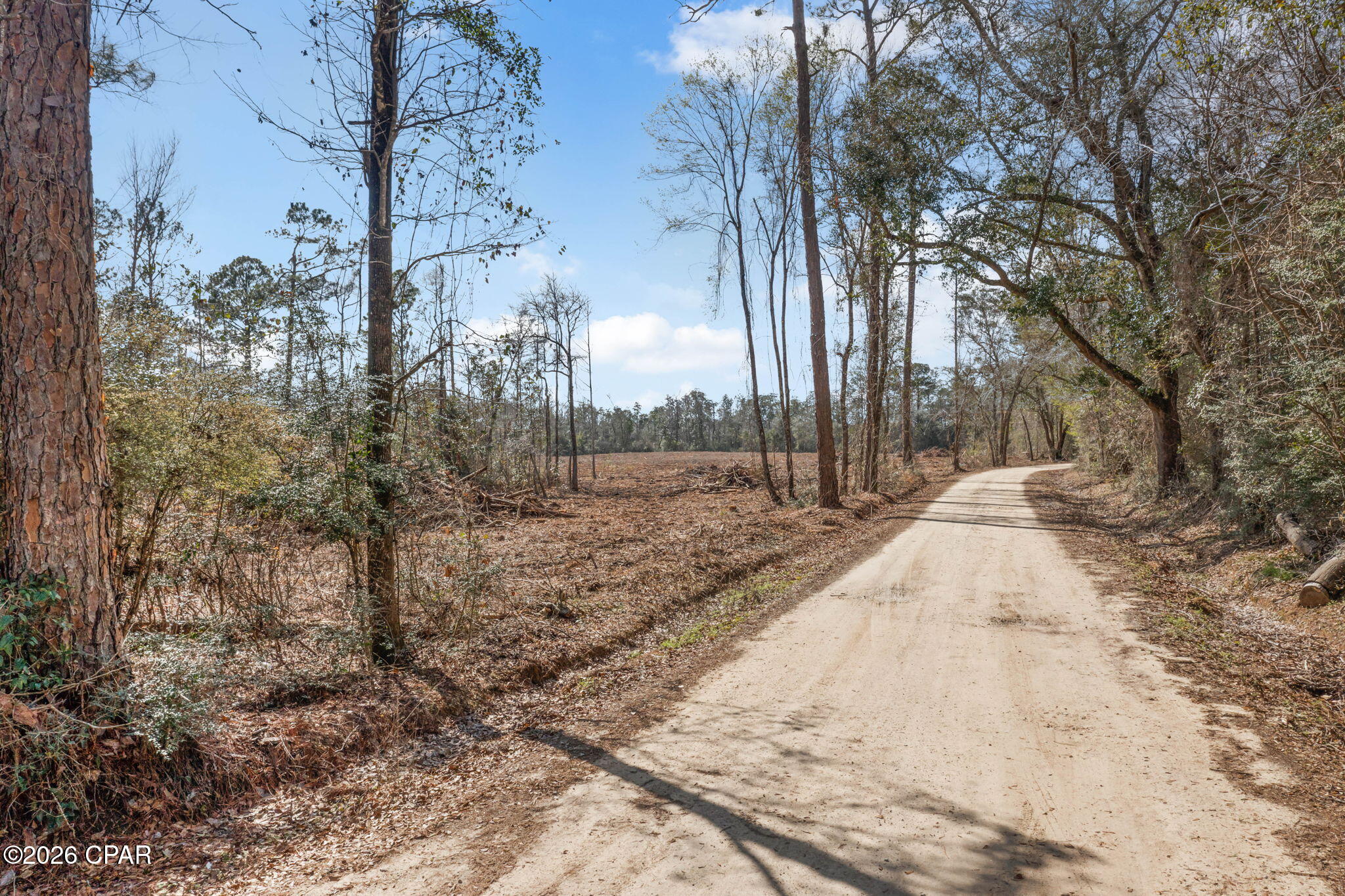 Xxx Tiller Road, Unit NORTH LOT Chipley, FL 32428 - Photo 8 of 19