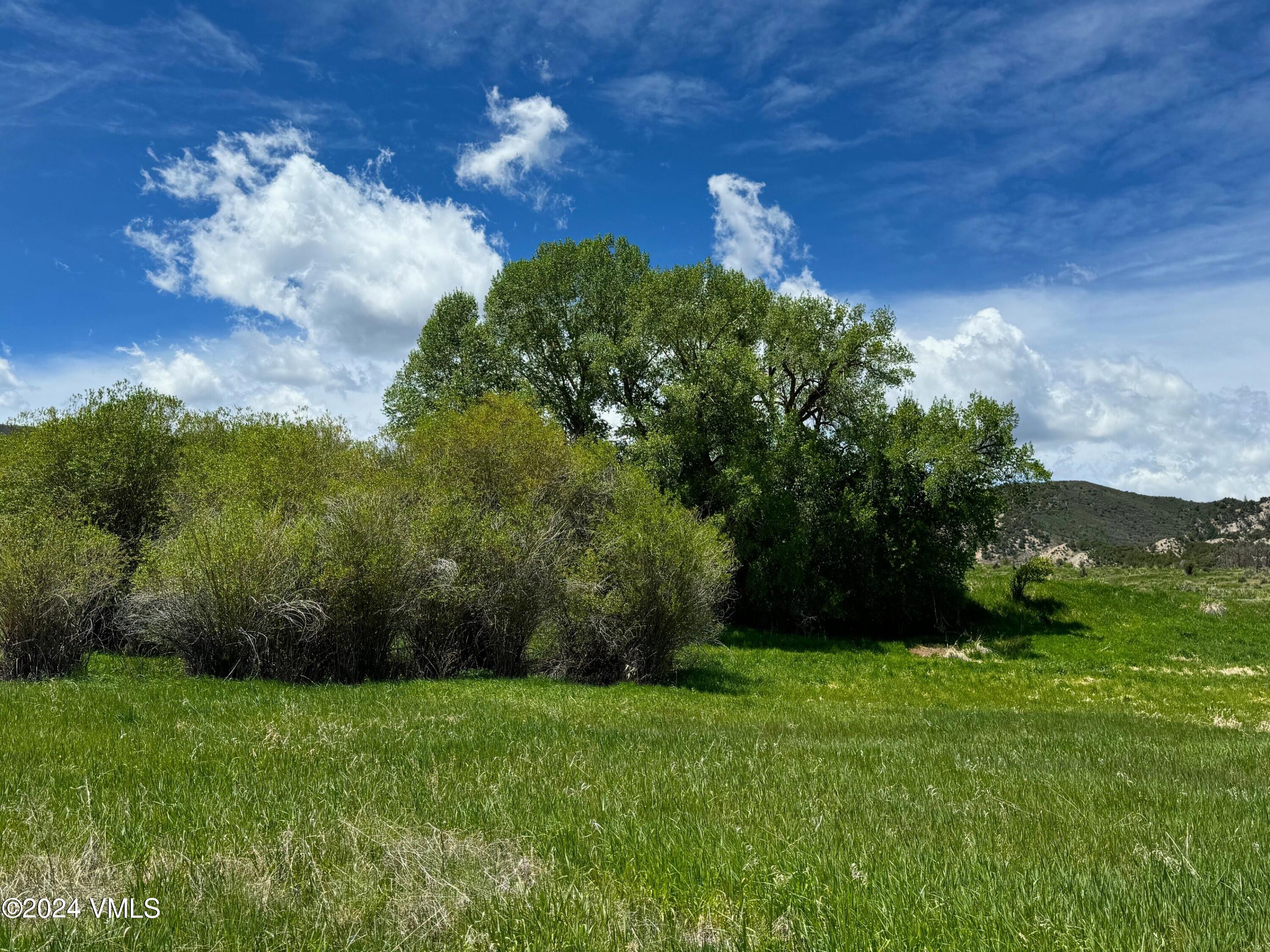 401 Red Bluffs Lane Eagle, CO 81631 - Photo 4 of 10 Lot 87 new 1