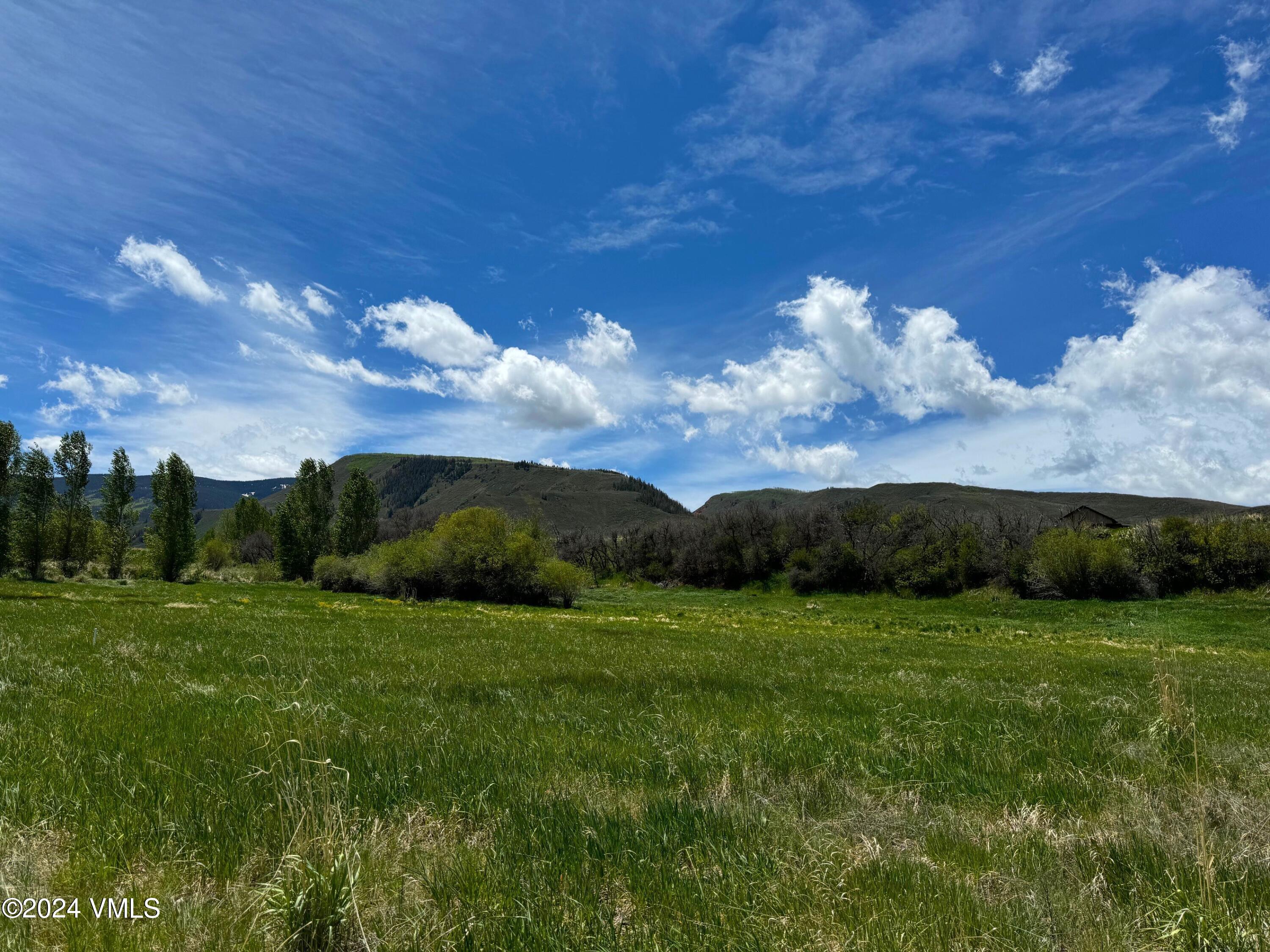 401 Red Bluffs Lane Eagle, CO 81631 - Photo 6 of 10 Lot 87 new 3