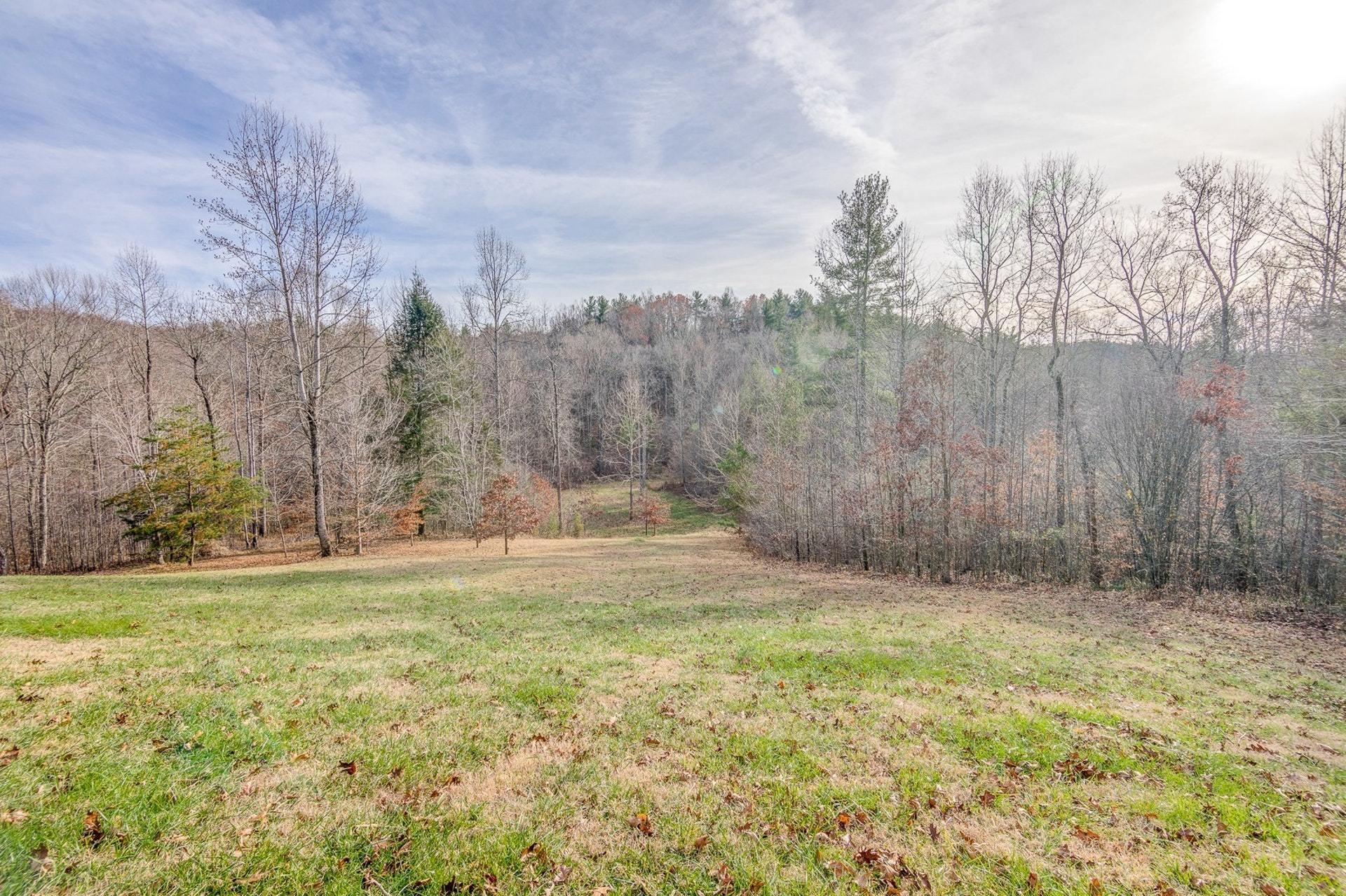 2774 Republican Church Road Ferrum, VA 24088 - Photo 17 of 52 a view of a yard with trees in the background