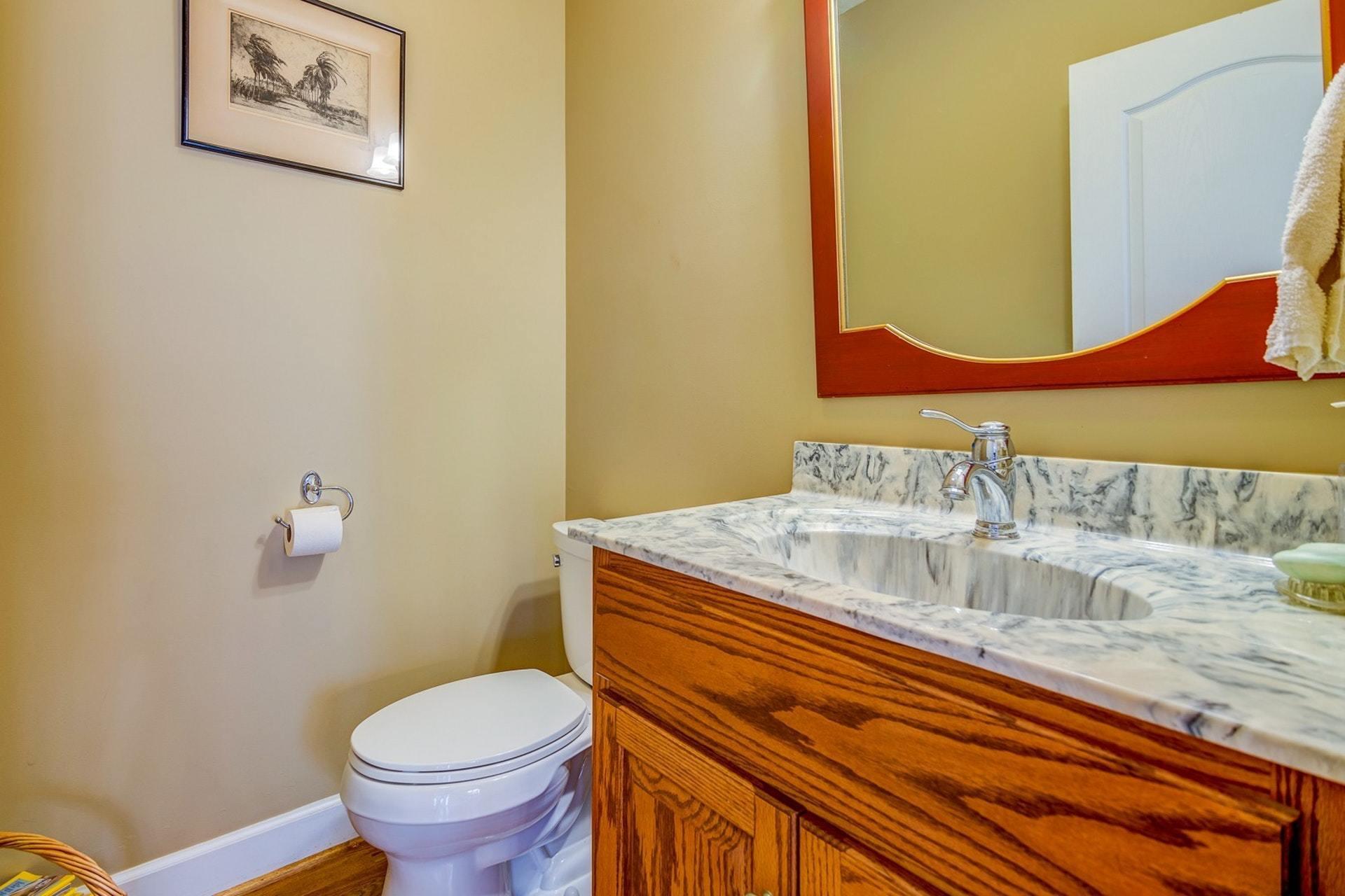 2774 Republican Church Road Ferrum, VA 24088 - Photo 32 of 52 a bathroom with a granite countertop sink and a toilet