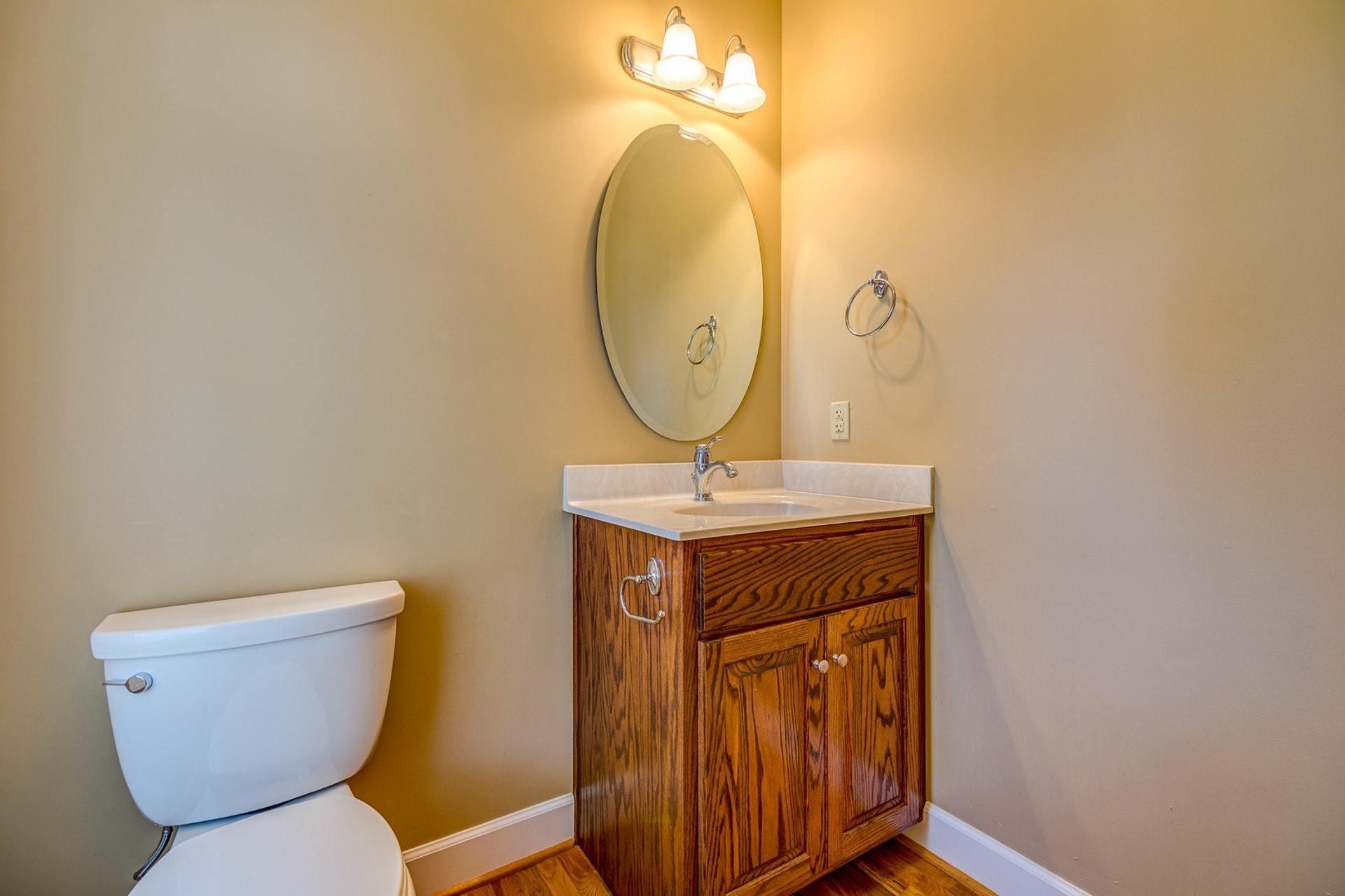 2774 Republican Church Road Ferrum, VA 24088 - Photo 39 of 52 a bathroom with a toilet a sink and a mirror