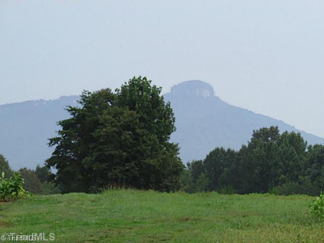 1240 Hauser Road Pinnacle, NC 27043 - Photo 4 of 16 View. Stunning view of Pilot Mtn from your front porch!