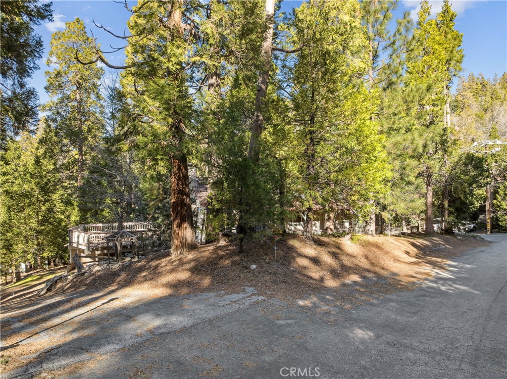 296 Massive Road Lake Arrowhead, CA 92352 - Photo 40 of 45