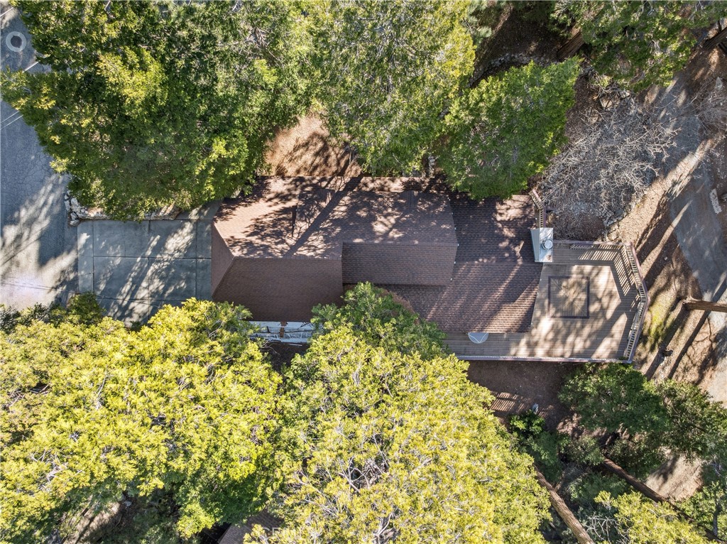 296 Massive Road Lake Arrowhead, CA 92352 - Photo 43 of 45