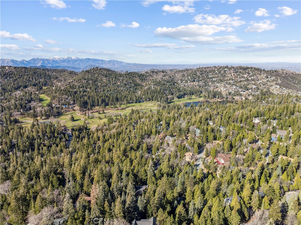 296 Massive Road Lake Arrowhead, CA 92352 - Photo 44 of 45
