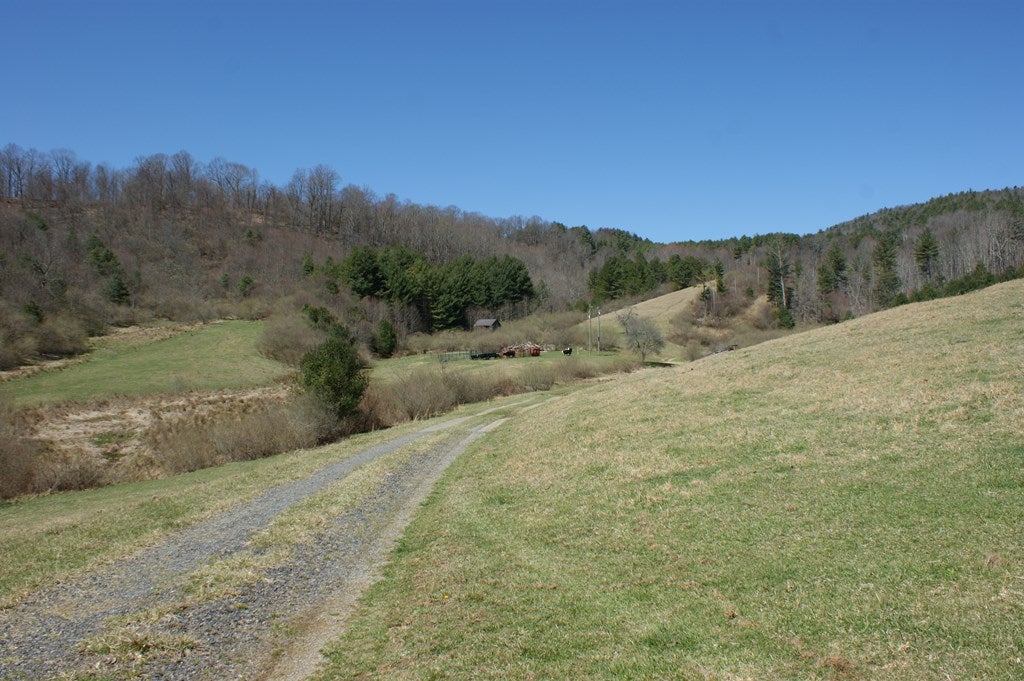 431 Mapleton Lane Fries, VA 24330 - Photo 10 of 23 Gallery Image 10