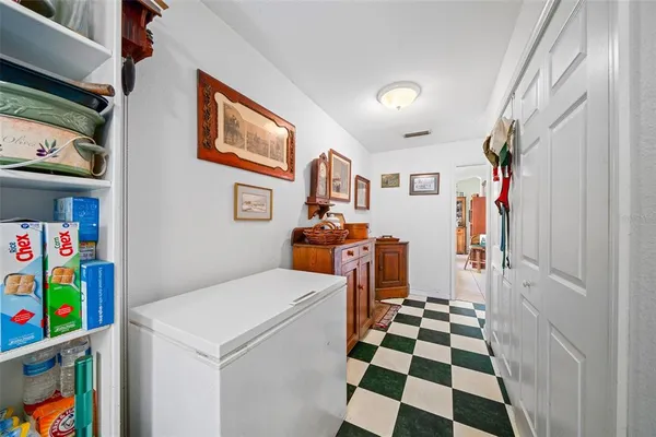 a view of a plant in a garden