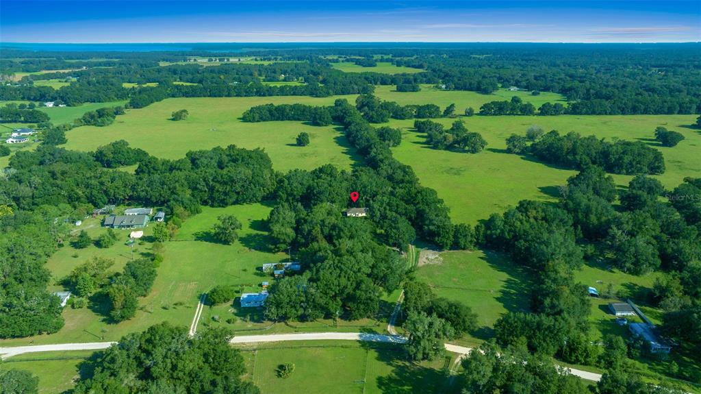 399 Northeast 155 Place Citra, FL 32113 - Photo 46 of 58 a view of a green yard with large trees