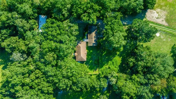 a view of a big yard with large trees
