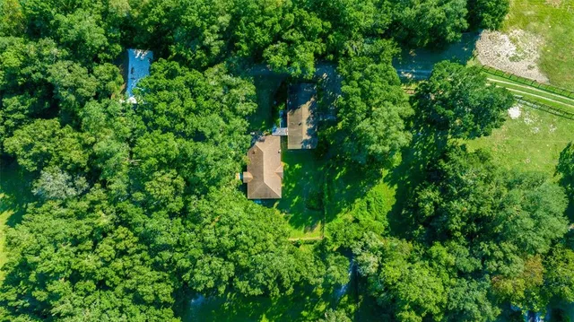 a view of a big yard with large trees