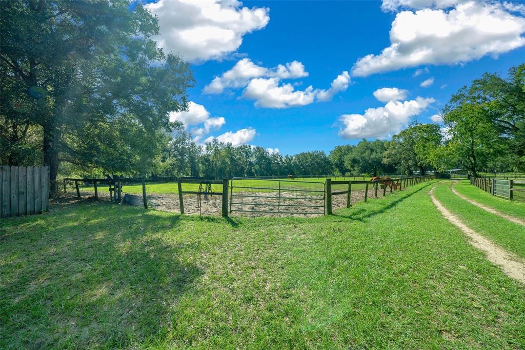 399 Northeast 155 Place Citra, FL 32113 - Photo 5 of 58 a view of a park with a tree
