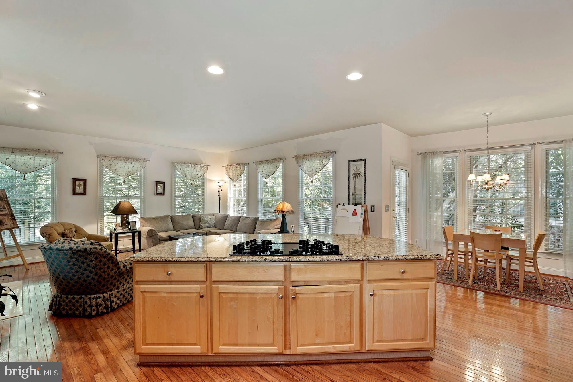 1528 Chain Bridge Road McLean, VA 22101 - Photo 12 of 51 Gallery Image 12
