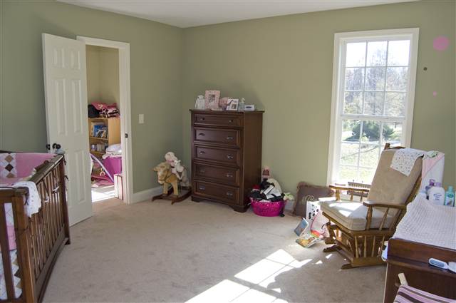 335 Jordan Creek Farm Road Wellford, SC 29385 - Photo 9 of 17 Gallery Image 9