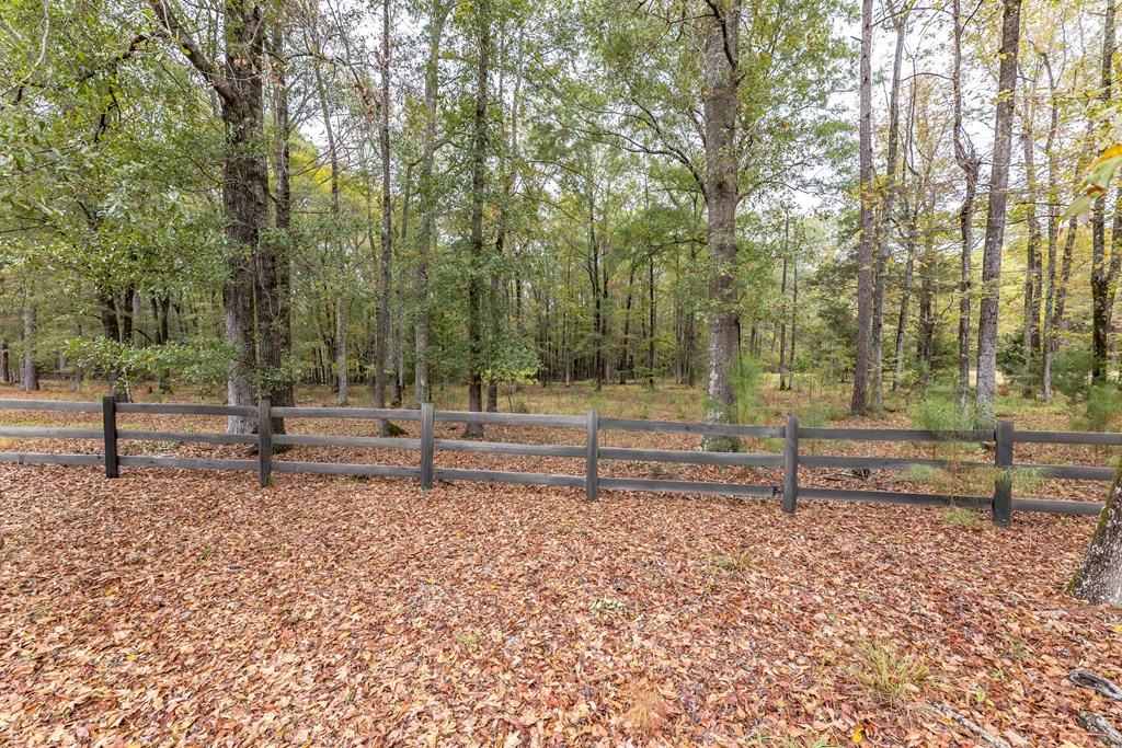 7901 Shallowford Road Upatoi, GA 31829 - Photo 71 of 89 Gallery Image 71