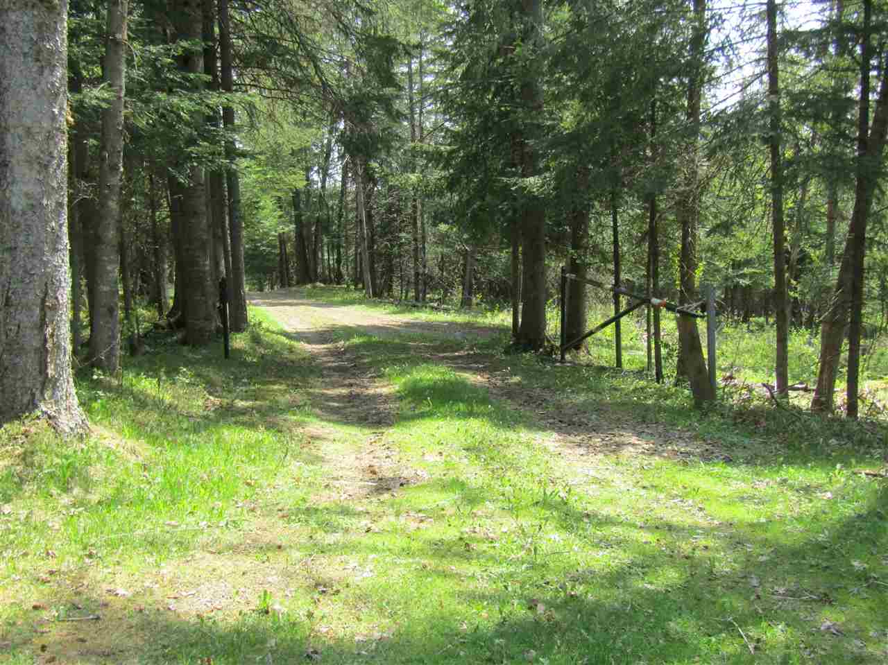 54 Joe Alger Road Pittsburg, NH 03592 - Photo 6 of 15