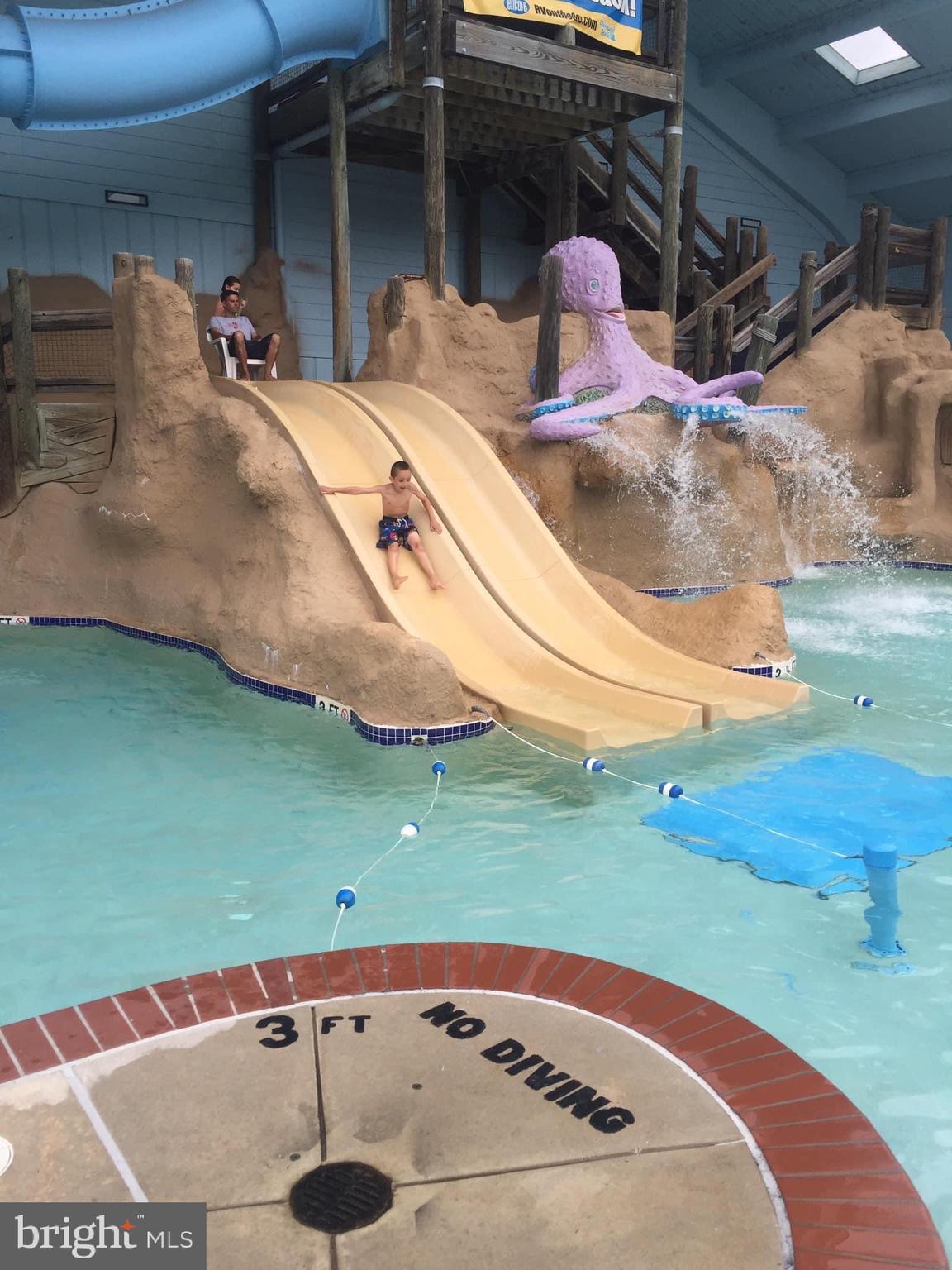 515 Corsons Tavern Road, Unit D22 Ocean View, NJ 08230 - Photo 20 of 23 a backyard of a house