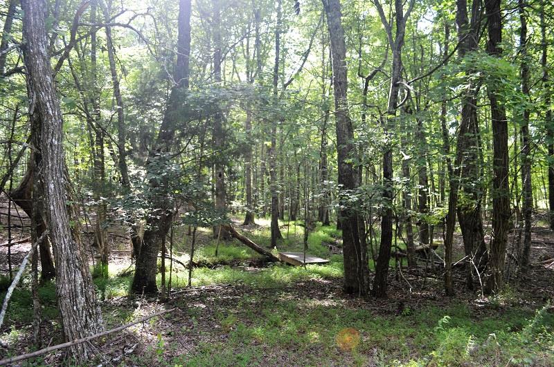 1500 Old Sewanee Road Sewanee, TN 37375 - Photo 6 of 13 Gallery Image 6