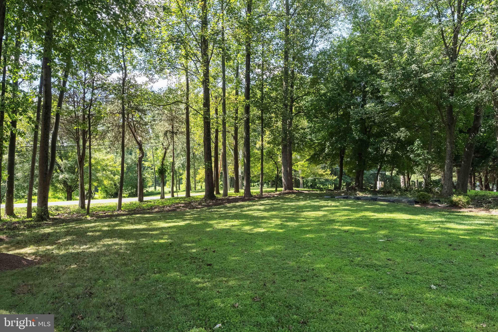 1619 Beulah Road Vienna, VA 22182 - Photo 6 of 107 Tranquil park-like setting