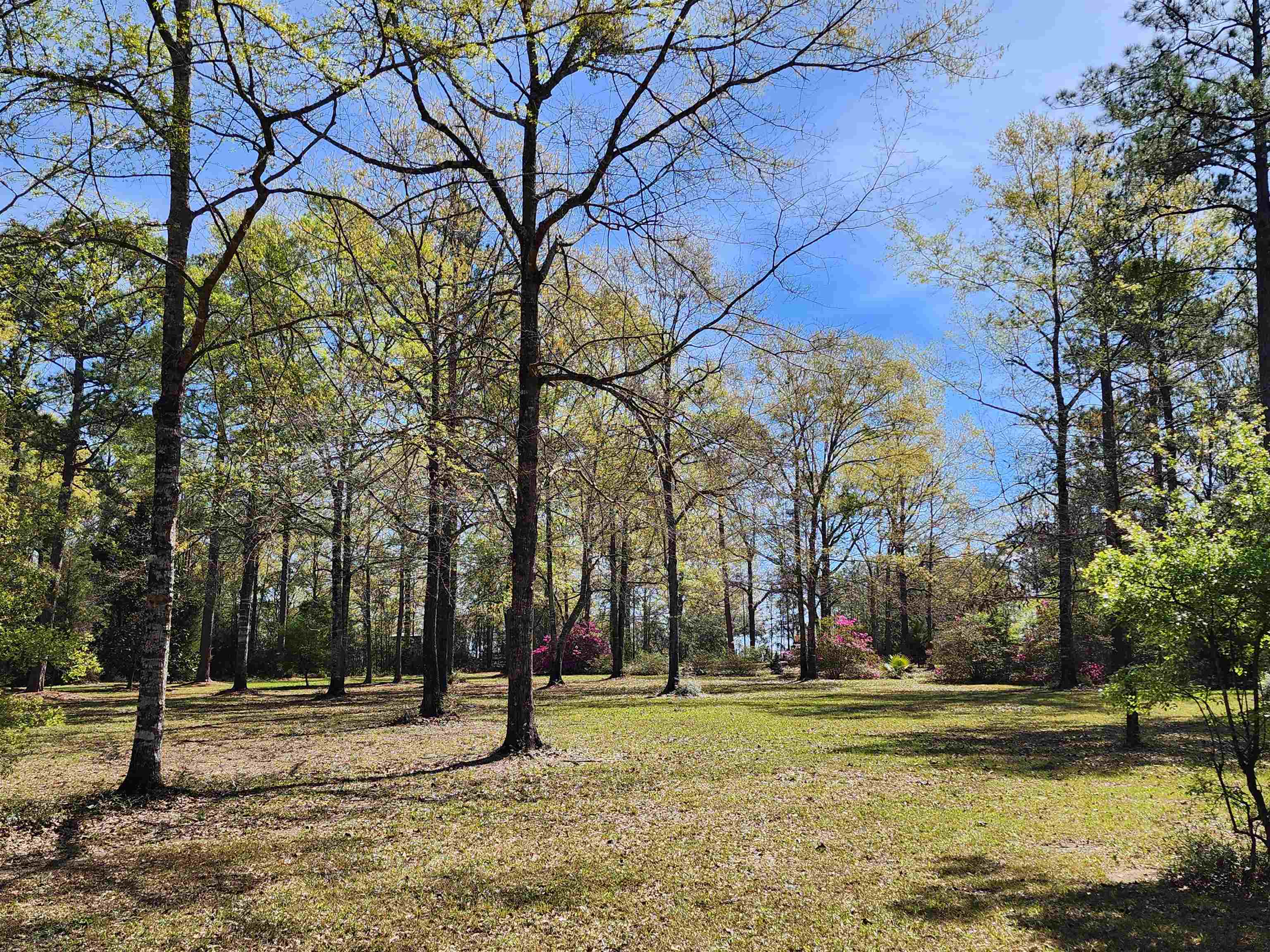 8843 Dixon Road Bay Minette, AL 36507 - Photo 3 of 40