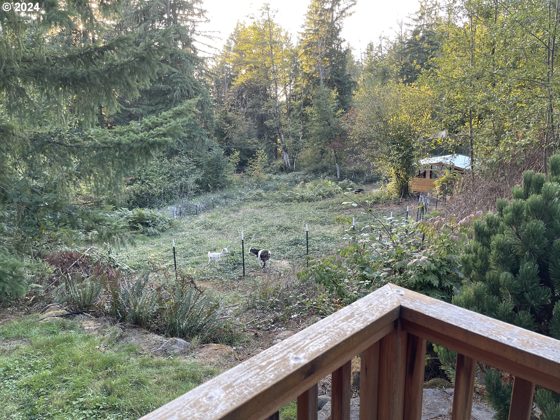 9010 Southeast Bull Run Road Corbett, OR 97019 - Photo 16 of 21 a balcony with an outdoor space