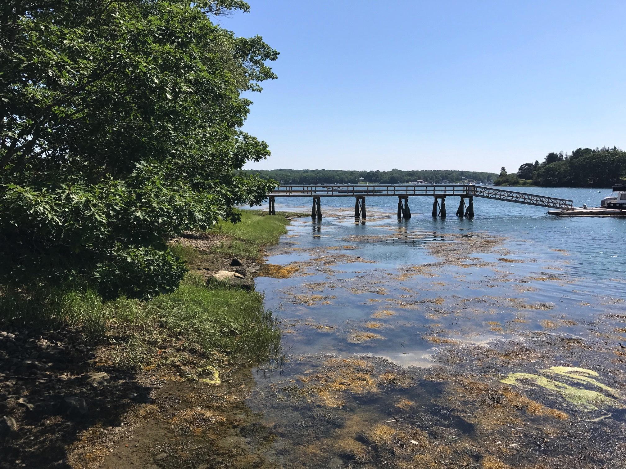 0 Drebelbis Point Road Pemaquid, ME 04558 - Photo 4 of 9 Image 8-9-17 at 3.17 PM (2)