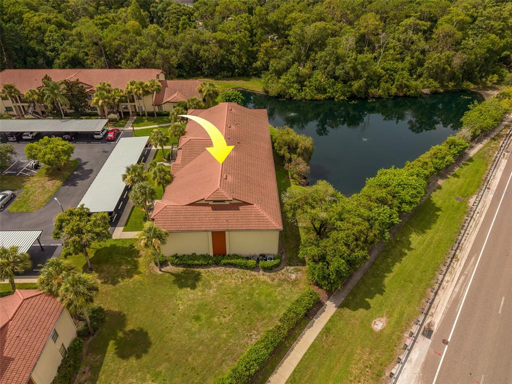 1801 East Lake Road South, Unit 20G Palm Harbor, FL 34685 - Photo 45 of 51