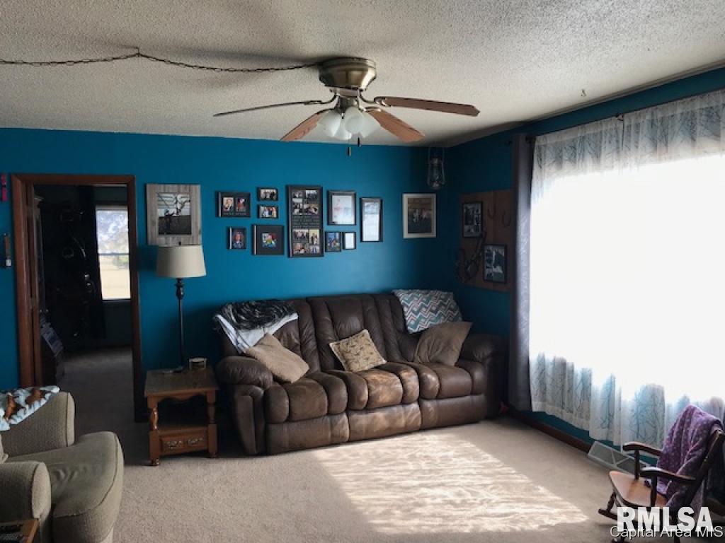 935 Wood Road Jacksonville, IL 62650 - Photo 5 of 15