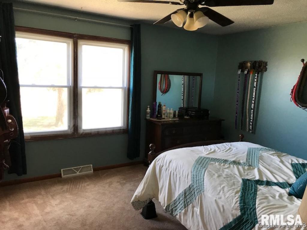 935 Wood Road Jacksonville, IL 62650 - Photo 9 of 15