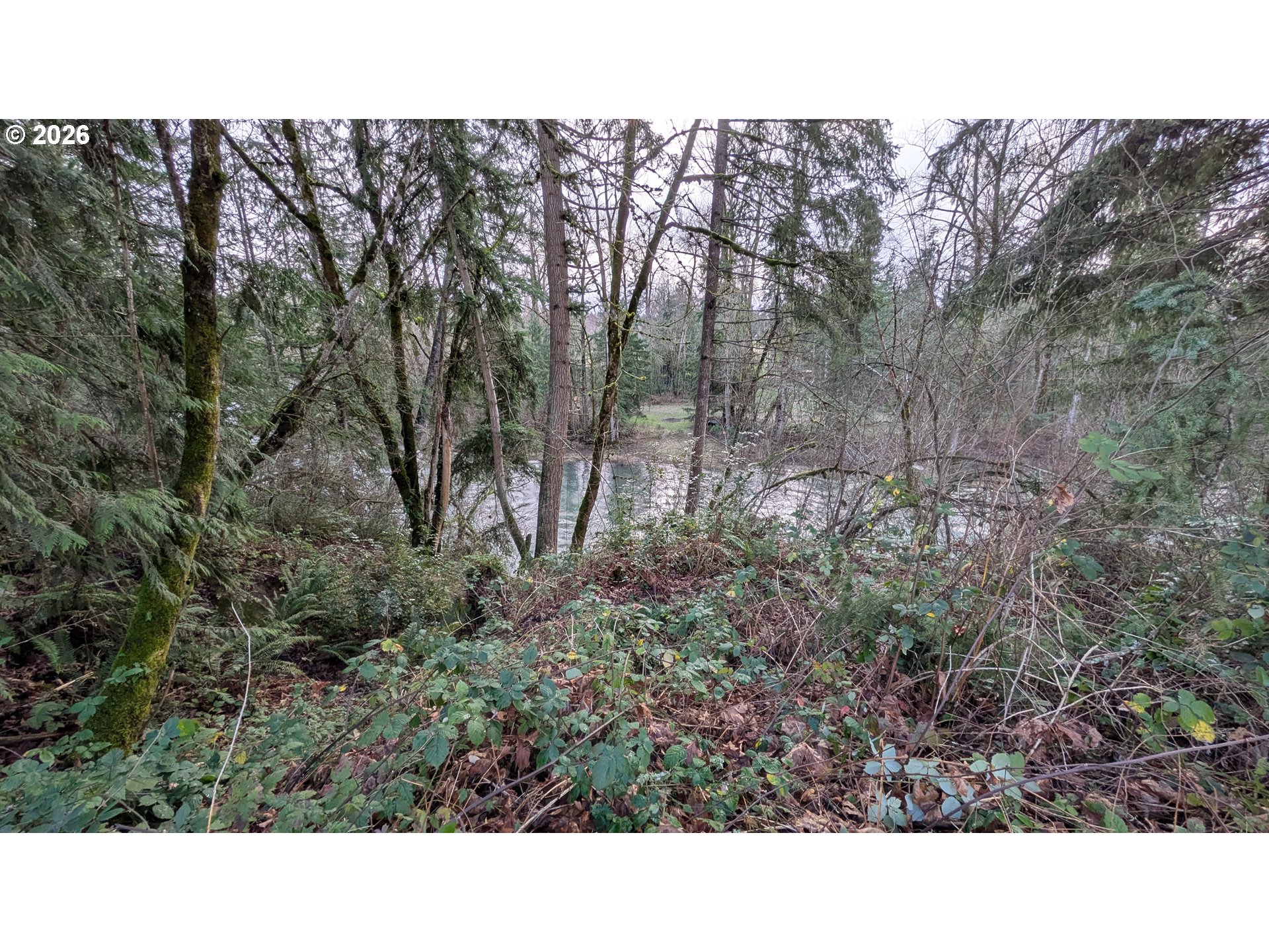 16150 South Riverview Road Mulino, OR 97042 - Photo 5 of 10 a black and white photo of a house