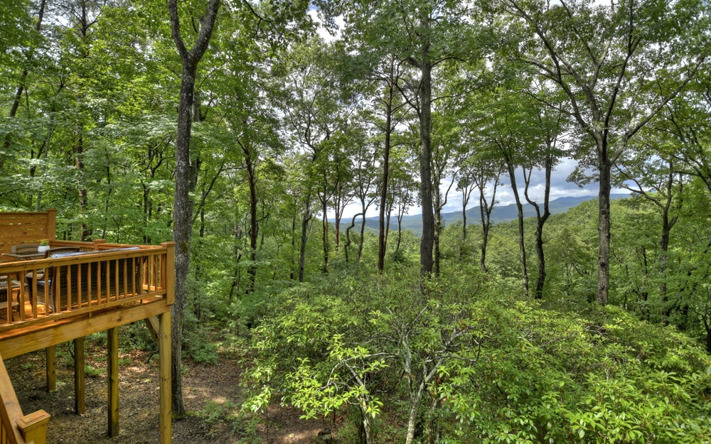 157 Little Bushy Head Road Blue Ridge, GA 30513 - Photo 49 of 50 Additional View