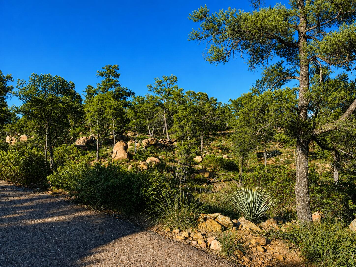 701 North Graham Ranch Road Payson, AZ 85541 - Photo 8 of 18 Gallery Image 8
