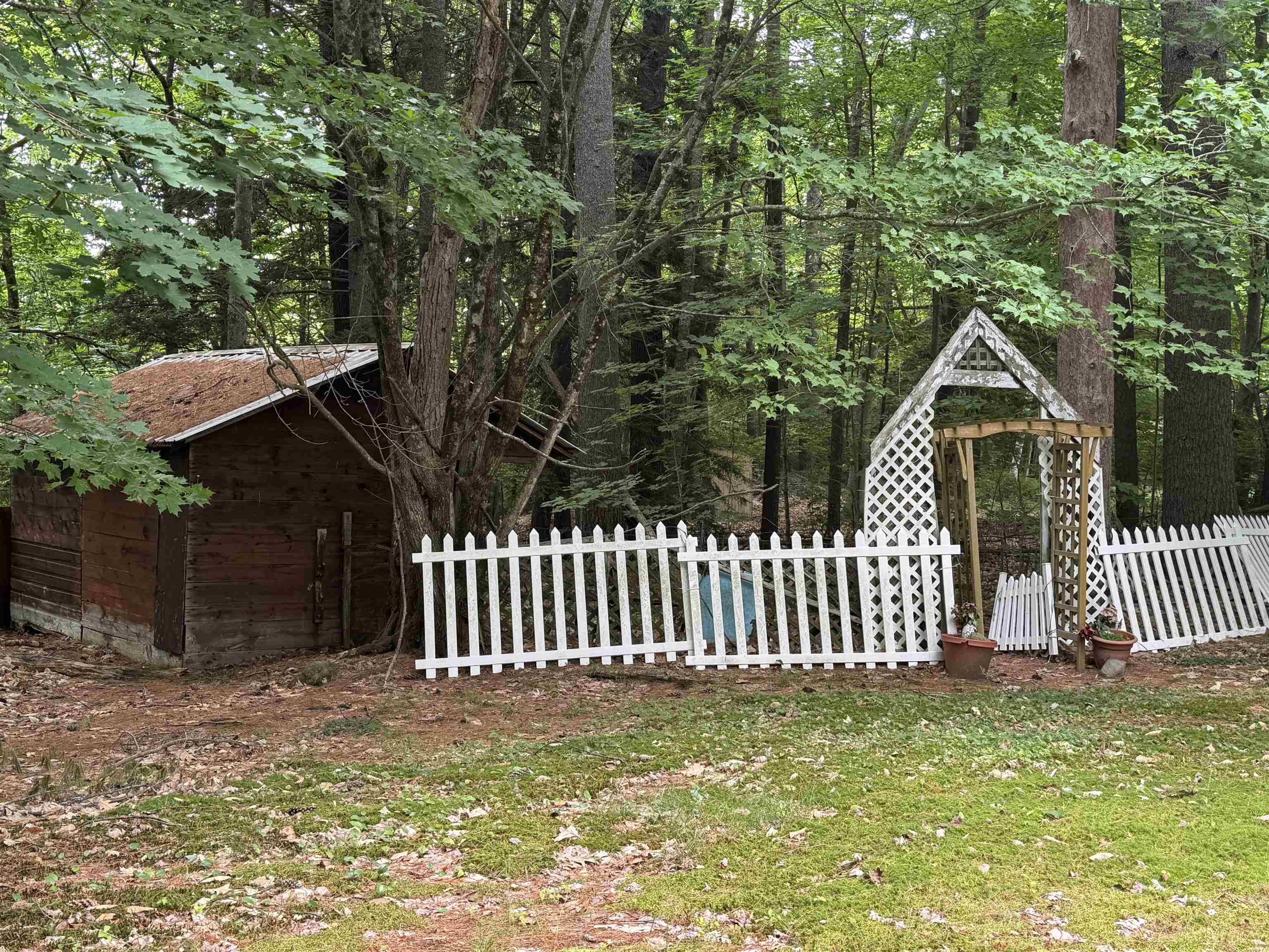 229 Tasker Hill Road Conway, NH 03818 - Photo 44 of 52