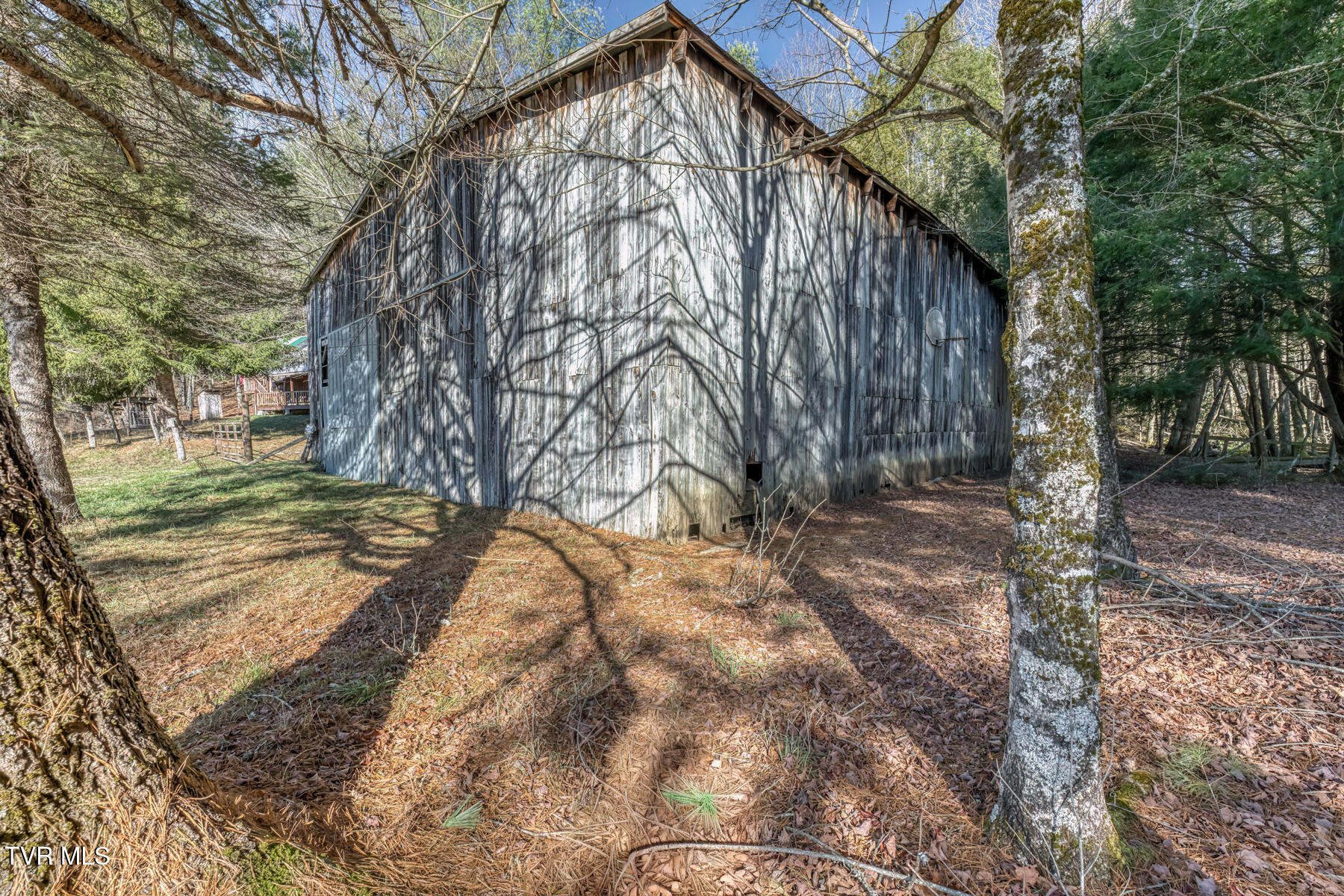 240 Phil Arnett Road Roan Mountain, TN 37687 - Photo 27 of 33 240 Phil Arnett Rd-27