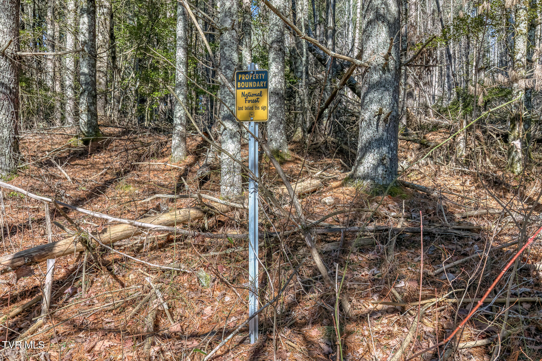 240 Phil Arnett Road Roan Mountain, TN 37687 - Photo 5 of 33 240 Phil Arnett Rd-5