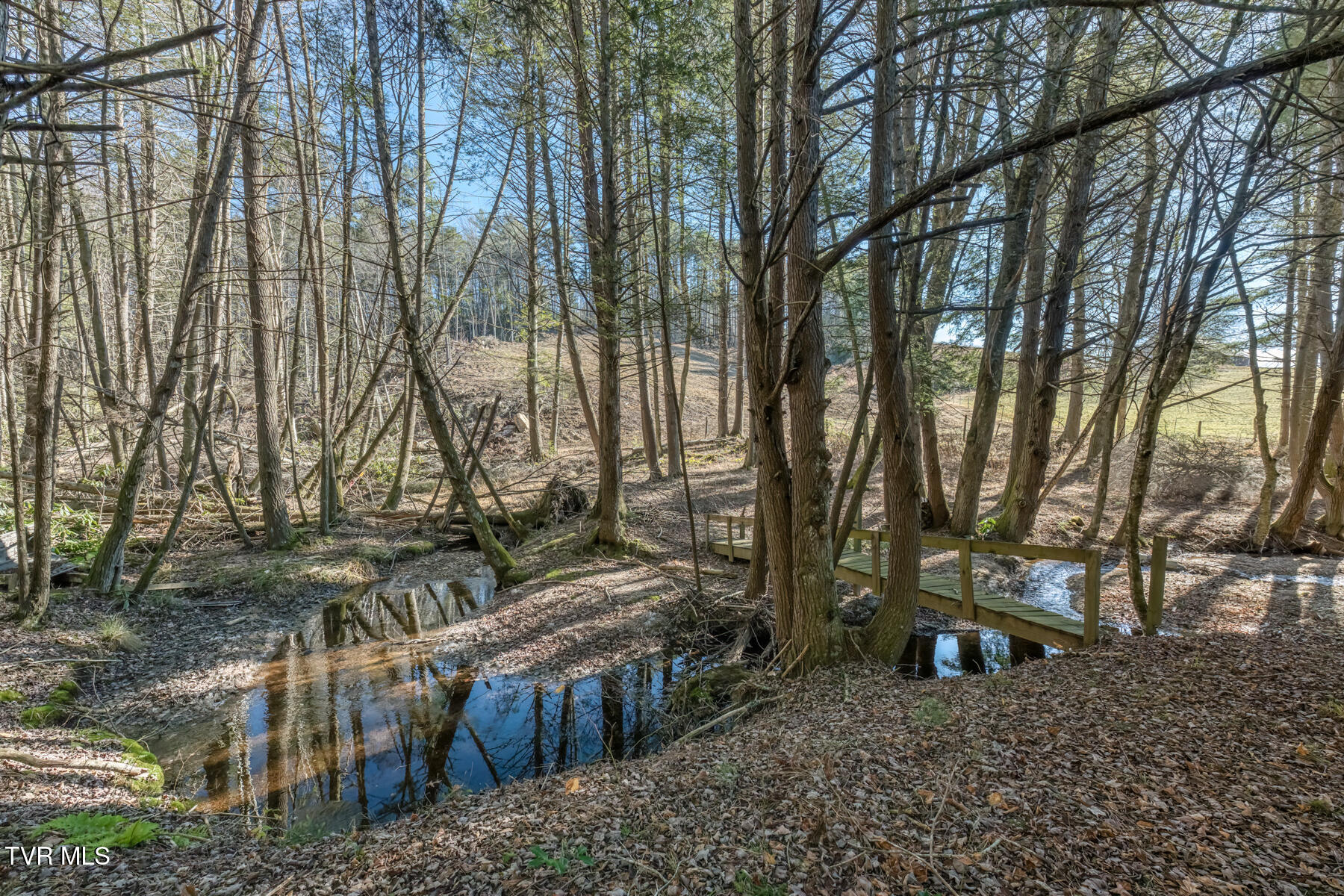 240 Phil Arnett Road Roan Mountain, TN 37687 - Photo 6 of 33 240 Phil Arnett Rd-6