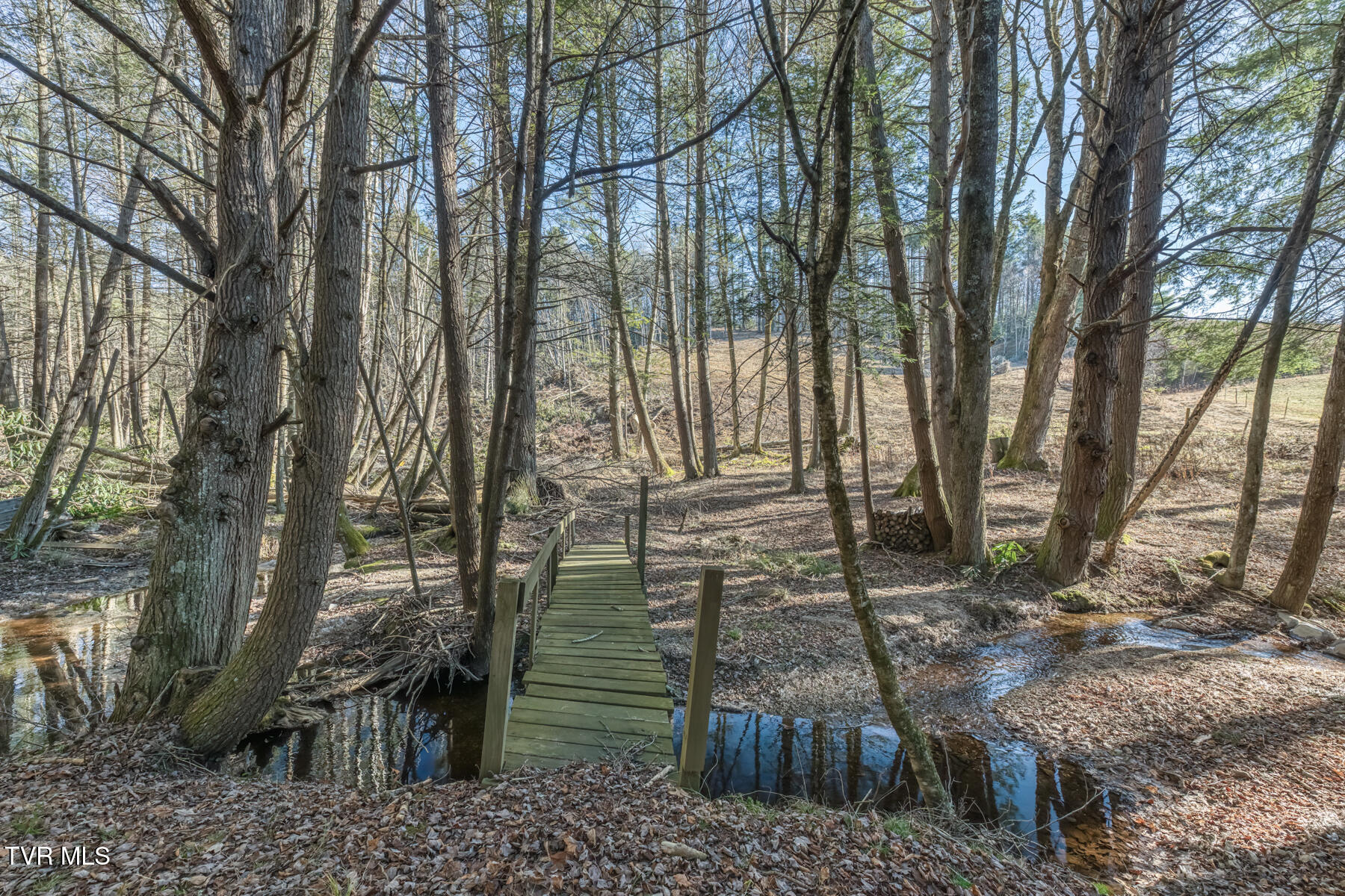 240 Phil Arnett Road Roan Mountain, TN 37687 - Photo 7 of 33 240 Phil Arnett Rd-7