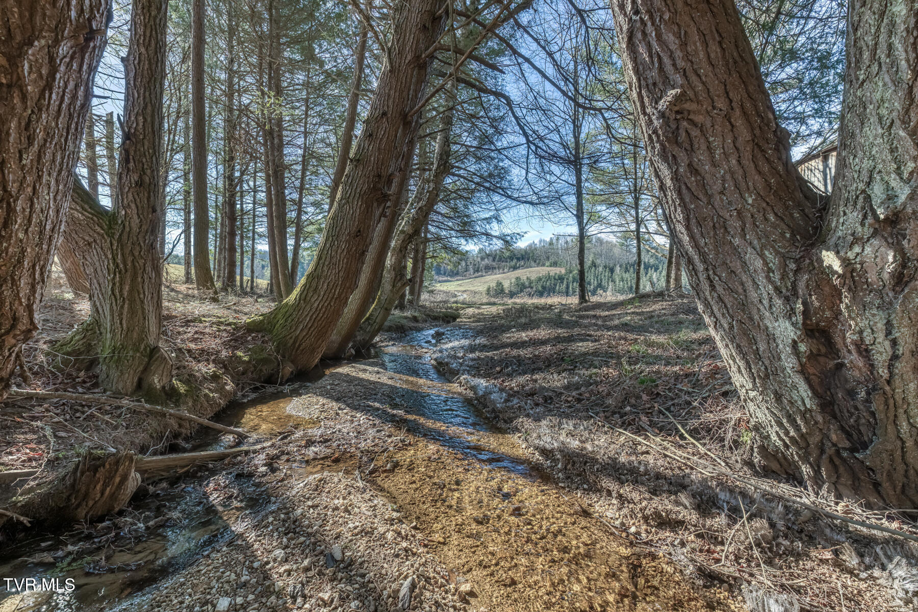 240 Phil Arnett Road Roan Mountain, TN 37687 - Photo 10 of 33 240 Phil Arnett Rd-10