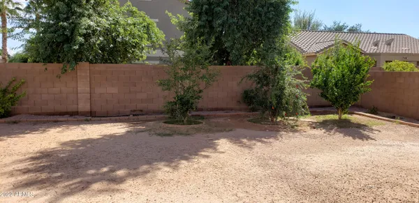 a view of a backyard with plants and a large tree