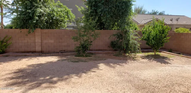 a view of a backyard with plants and a large tree