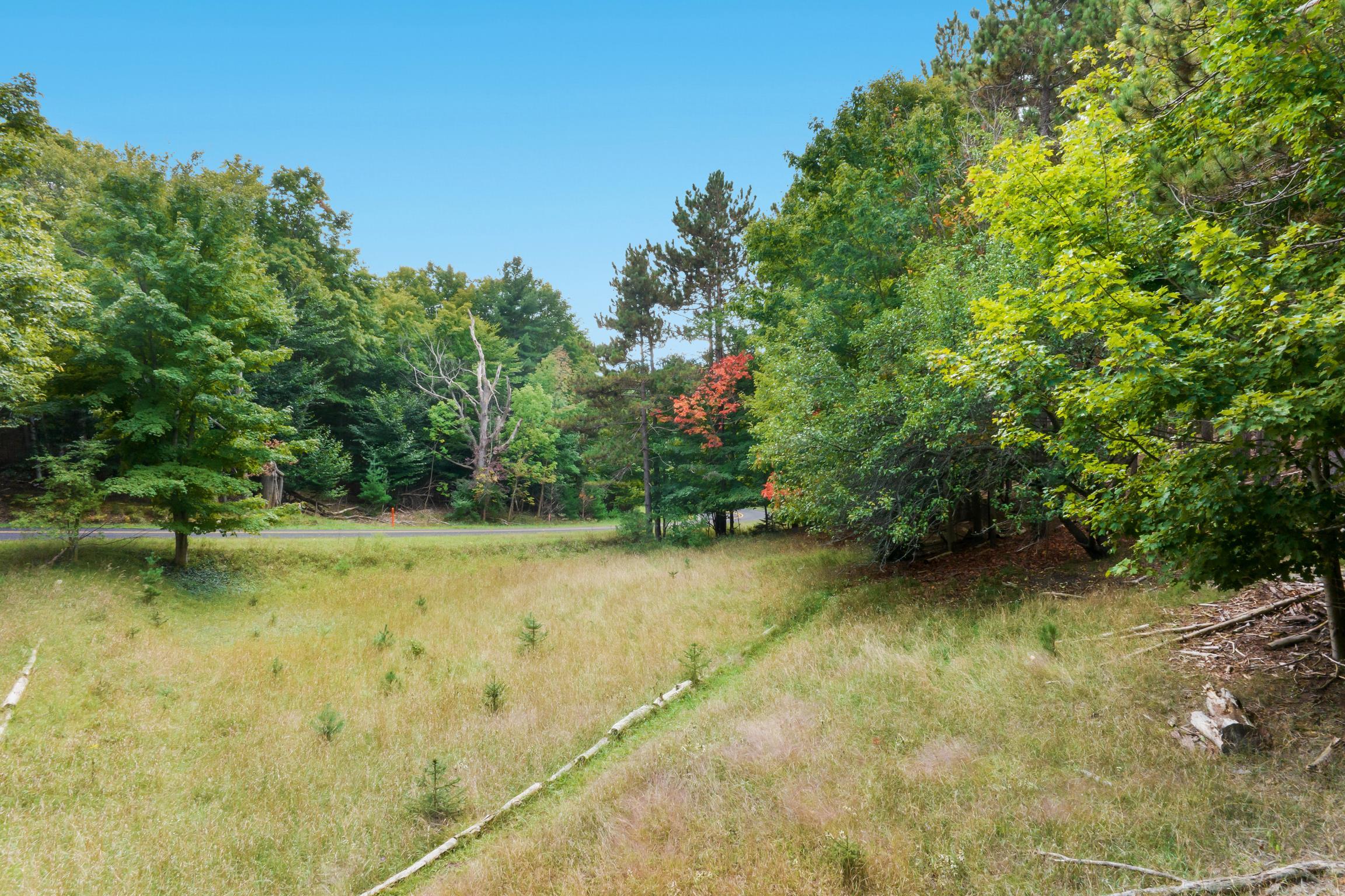 C Pautz Road Frankfort, MI 49635 - Photo 2 of 13
