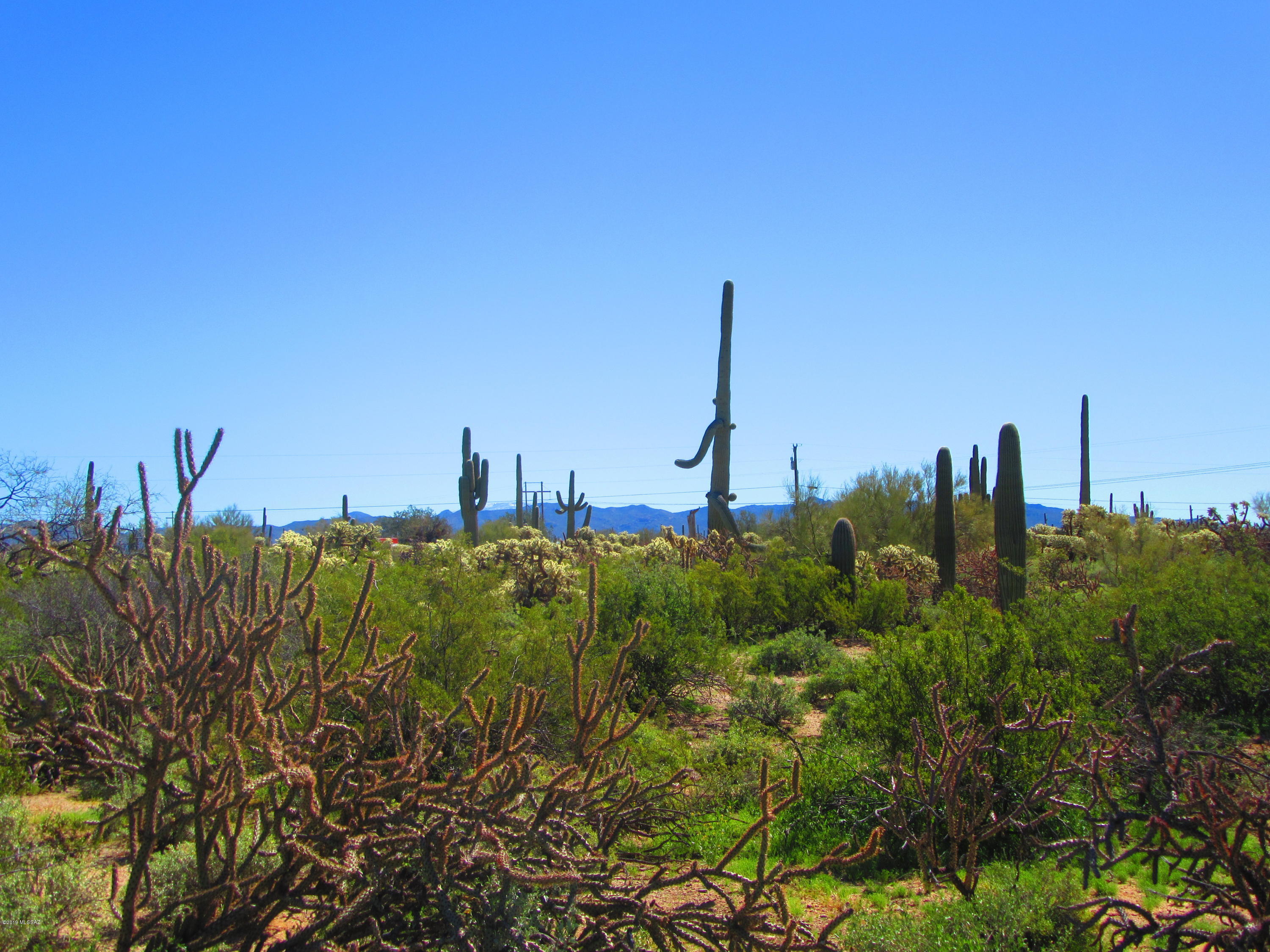 Xx South Cattle Tank Road, Unit 11 48) Marana, AZ 85658 - Photo 13 of 19