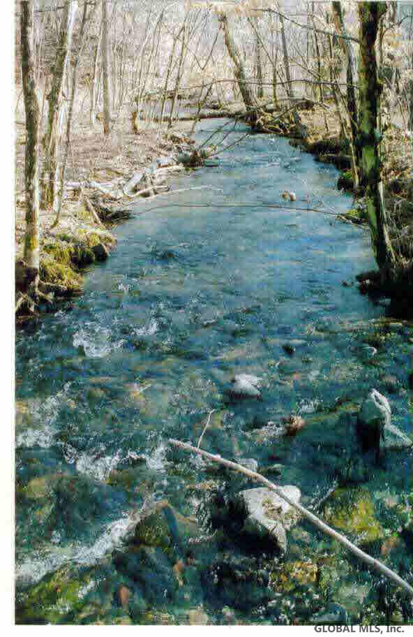 Middle Road Salem, NY 12865 - Photo 2 of 6 Photo 2