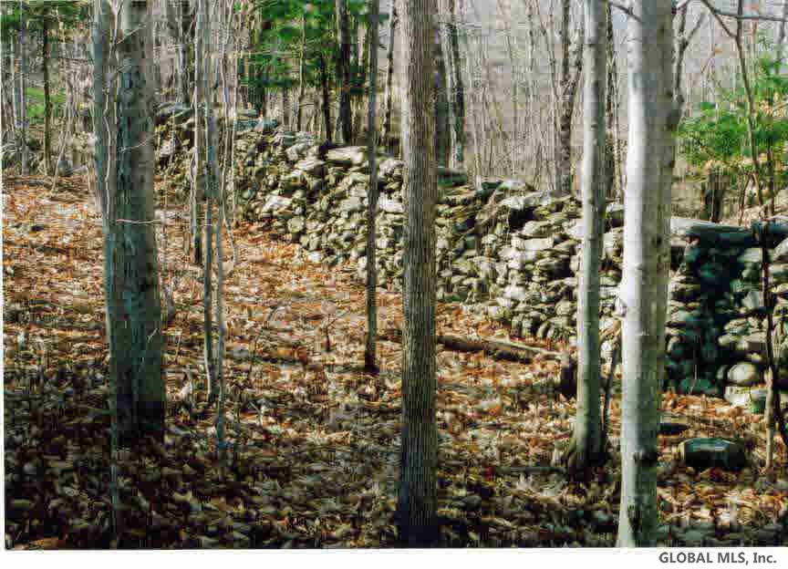 Middle Road Salem, NY 12865 - Photo 4 of 6 Photo 4
