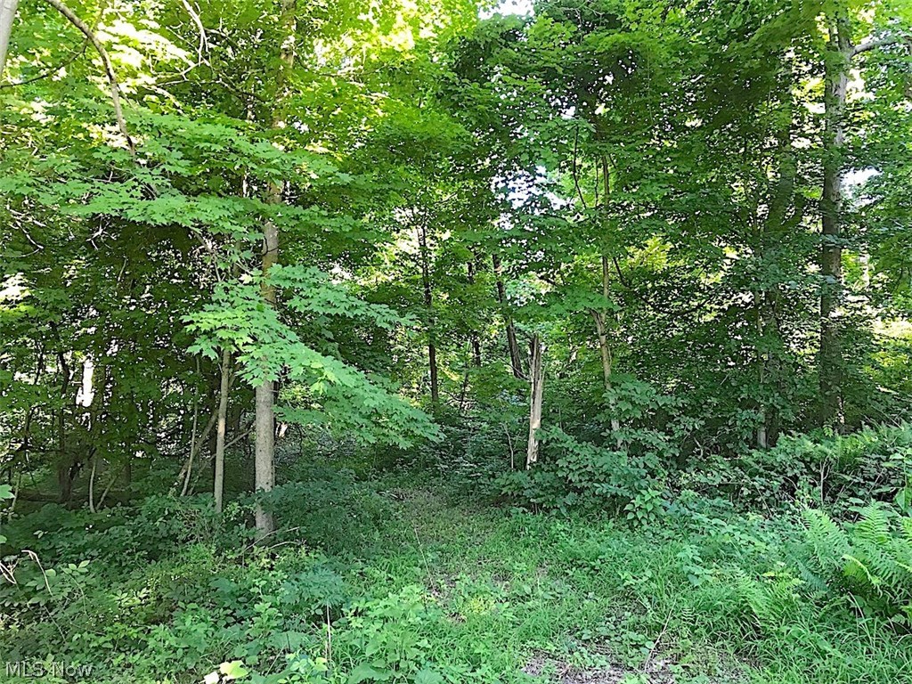 7415 Mulberry Road Newark, OH 43056 - Photo 19 of 35