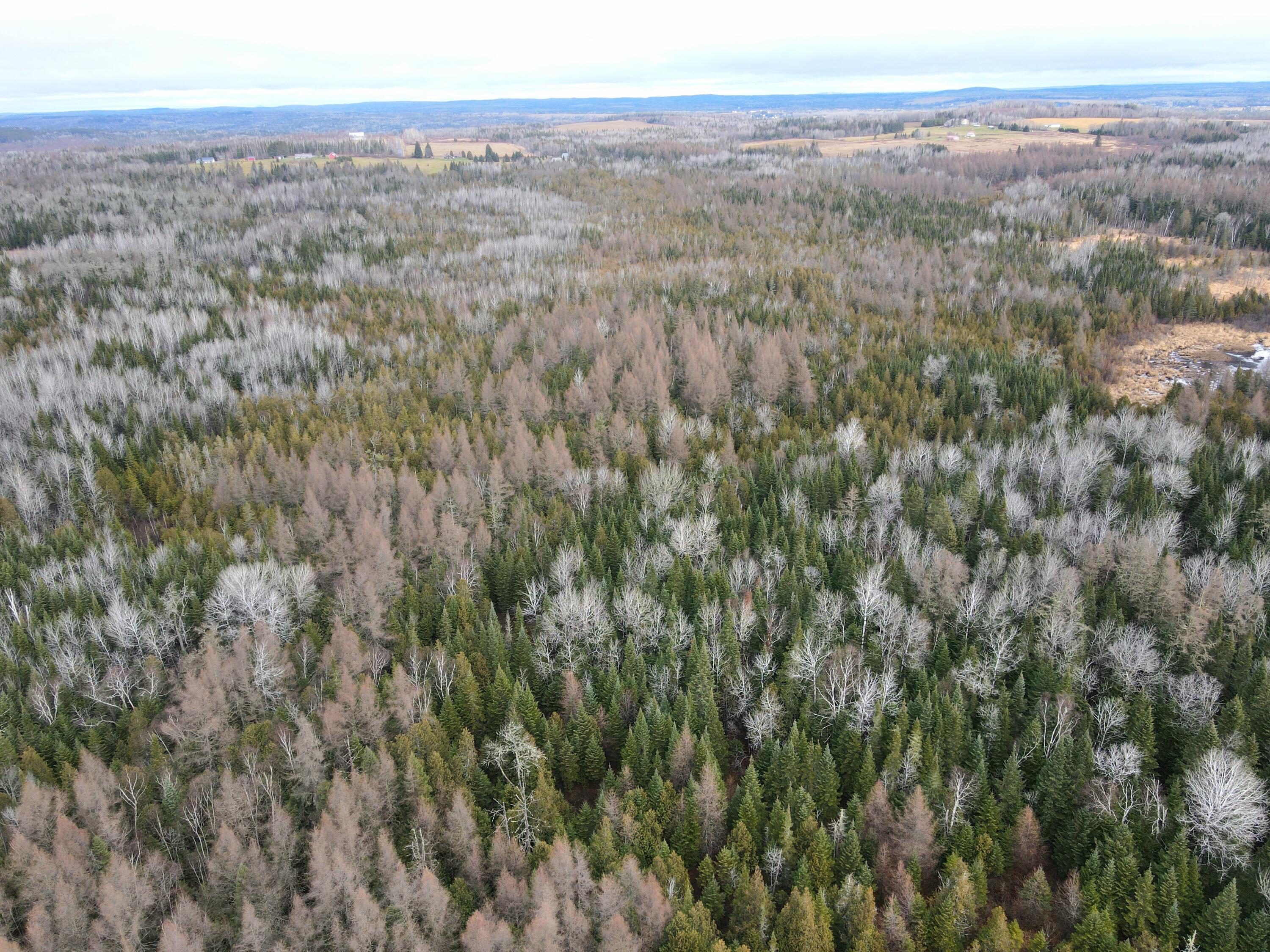 481 Plante Road Caribou, ME 04736 - Photo 12 of 13