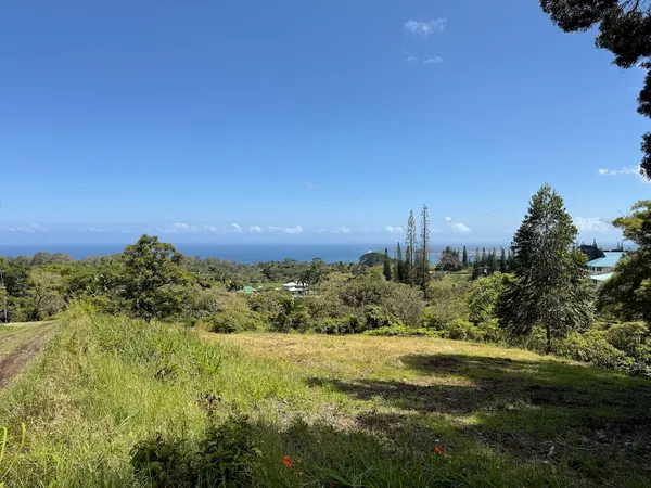 $995,000 | 1951 Kaiwiki Road, Hilo, HI 96720